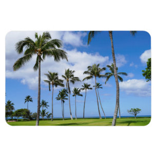 Ímã Magnet Fotográfico de Árvores de Coco Havaianas