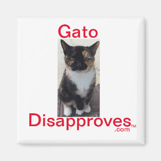 Imã Magnet, Gato Desaprova
