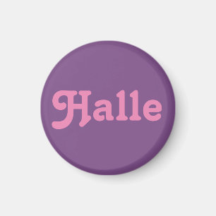 Imã Magnet Halle