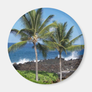 Imã Magnet Havaiano