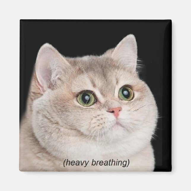 Imã Magnet Heavy Breathing Cat (Frente)