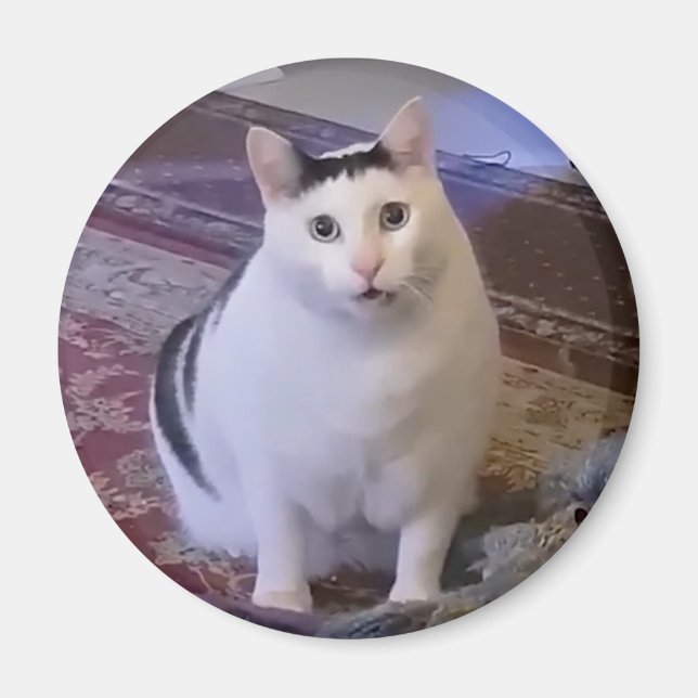 Imã Magnet Huh Cat Meme (Frente)