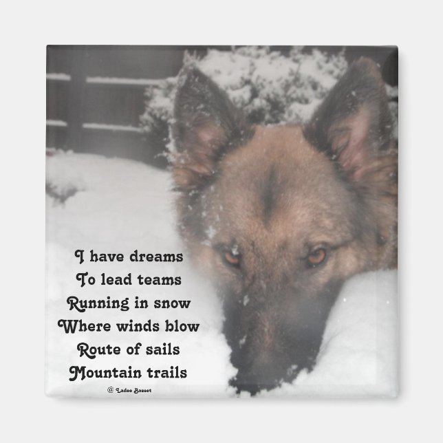 Imã Magnet I Have Dreams Poem By Ladee Basset (Frente)