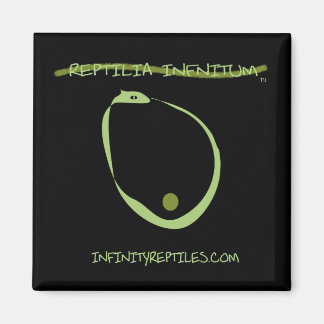 Imã Magnet Infinity Reptiles