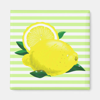 Imã Magnet Juicy Lemons