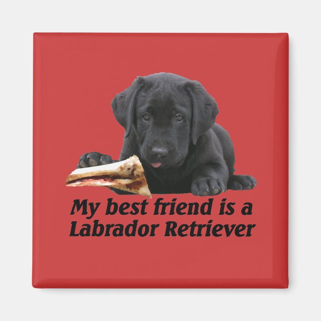 Imã Magnet "Labrador Retriever" (Frente)