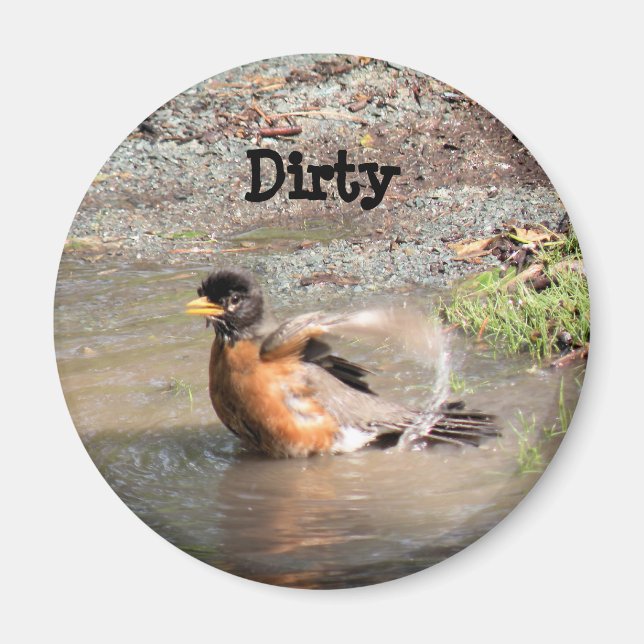 Imã Magnet, lavadora de louça, Robin tomando um banho, (Frente)