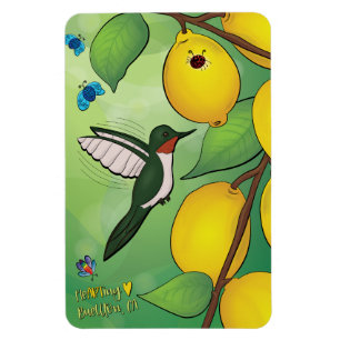 Ímã Magnet - Limonada