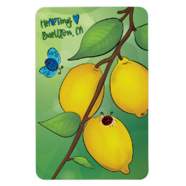 Ímã Magnet - Limonada 2