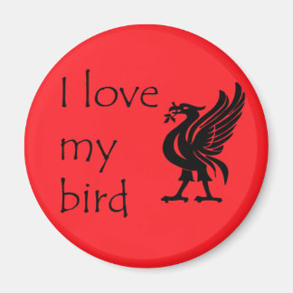 Imã Magnet - Liverpool Liverbird