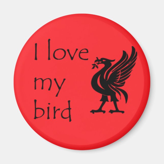 Imã Magnet - Liverpool Liverbird (Frente)