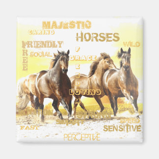 Imã Magnet Maiestoso para cavalos