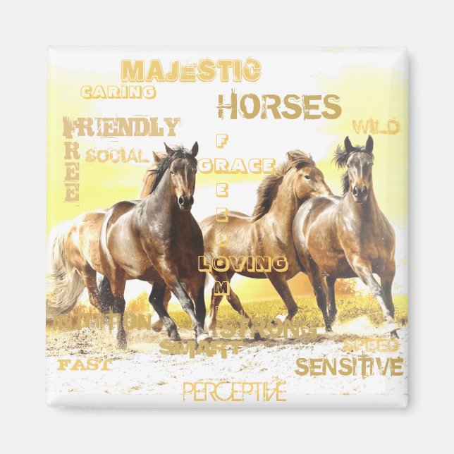 Imã Magnet Maiestoso para cavalos (Frente)