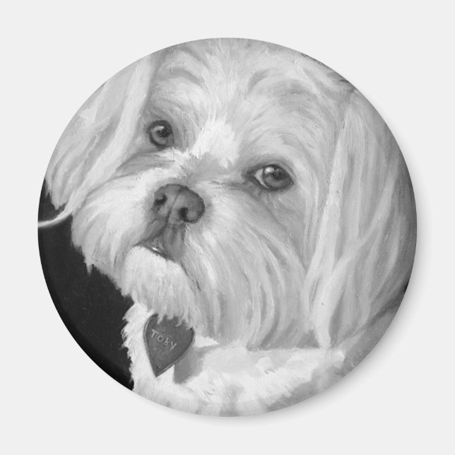 Imã Magnet maltês (Frente)