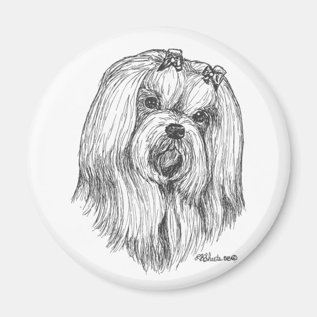 Imã Magnet maltês (Frente)