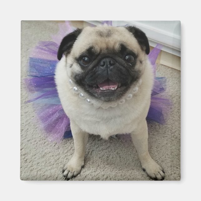 Imã Magnet Maylene (Frente)