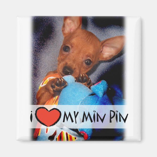 Imã Magnet Miniatura Pinscher (Frente)
