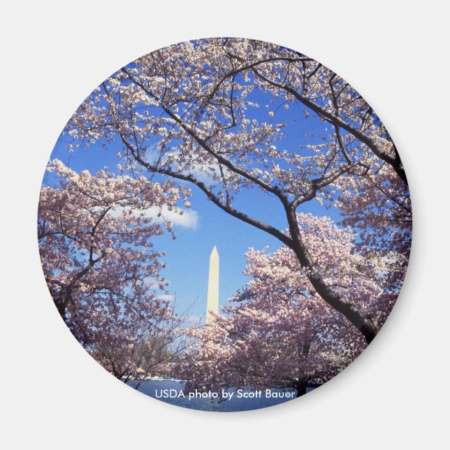 Imã Magnet / Monumento de Washington (Frente)