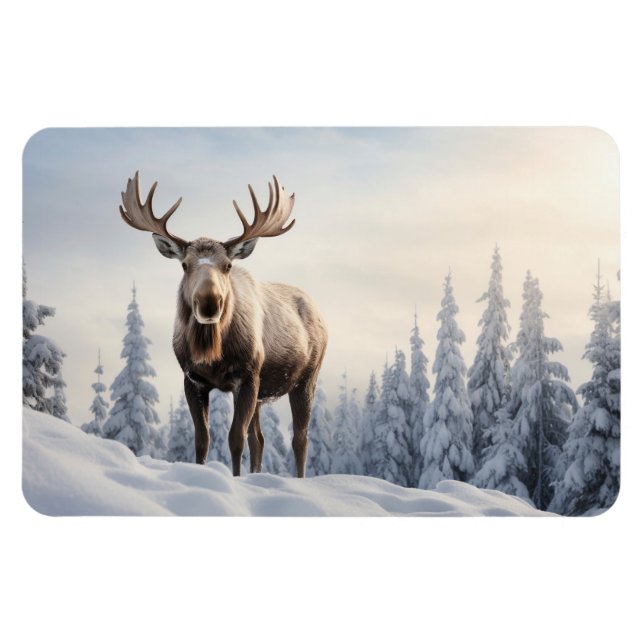 Ímã Magnet-Moose (Horizontal)