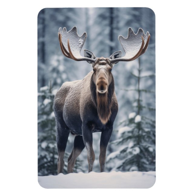 Ímã Magnet-Moose (Vertical)