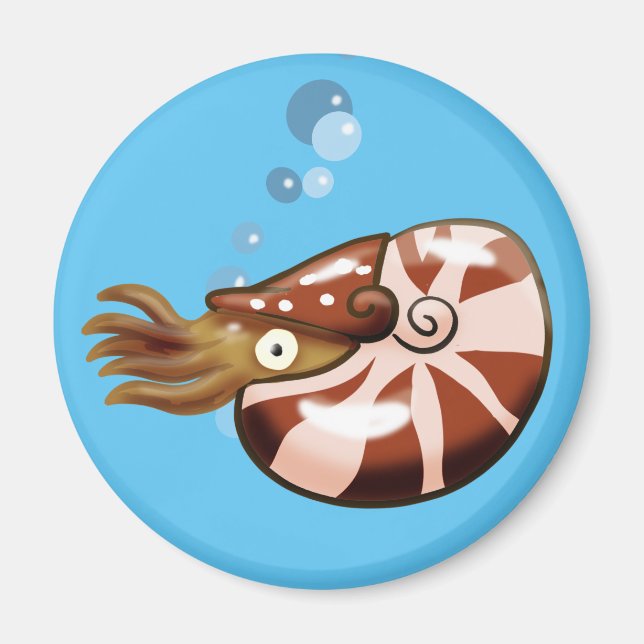 Imã Magnet Nautilus Chambered (Frente)