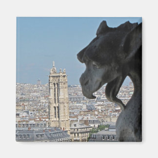 Imã Magnet: Notre-Dame de Paris - Gargoyle