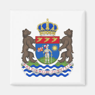 Imã Magnet Oficial Gapla