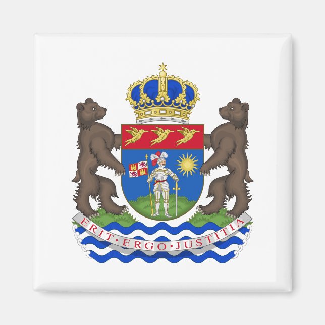 Imã Magnet Oficial Gapla (Frente)