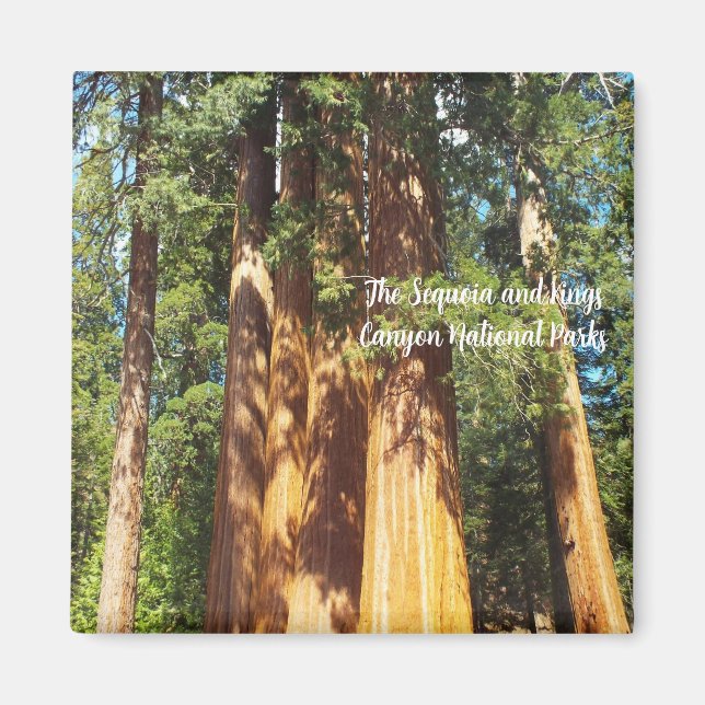 Imã Magnet Os Parques Nacionais Sequoia e Kings Canyon (Frente)