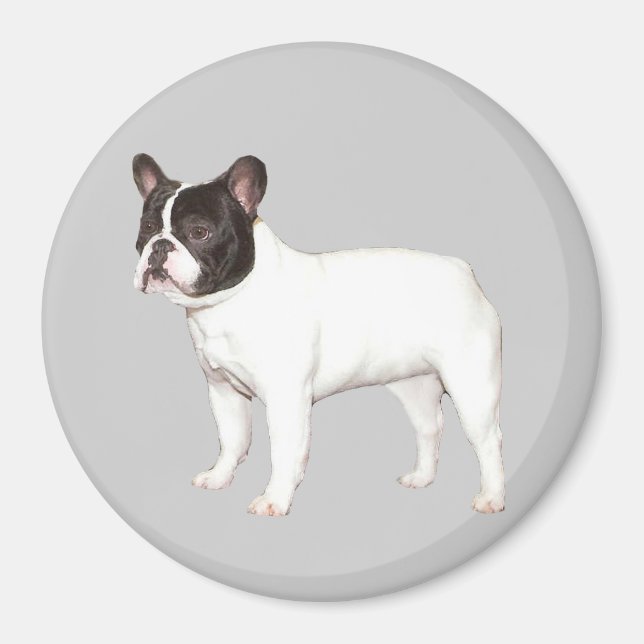 Imã Magnet para Bulldog Francês (Frente)