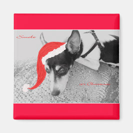 Imã Magnet para o Natal, Rat Terrior