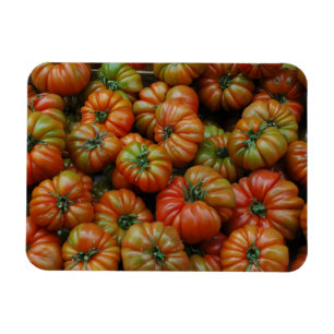 Ímã Magnet para tomates