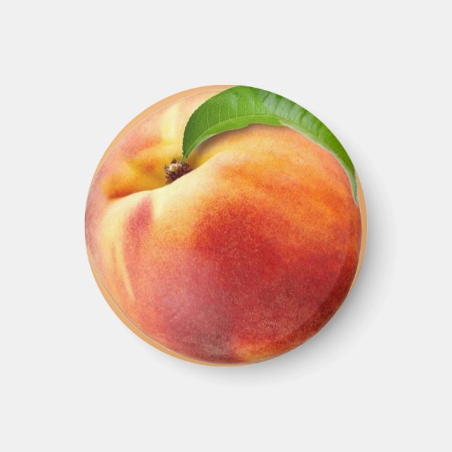 Imã Magnet pêche  (Frente)