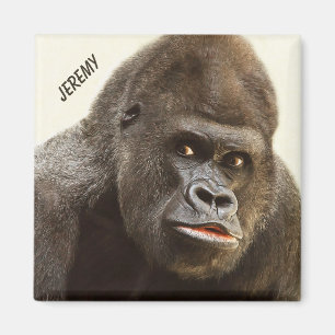 Imã Magnet personalizado de nome Funny Gorilla