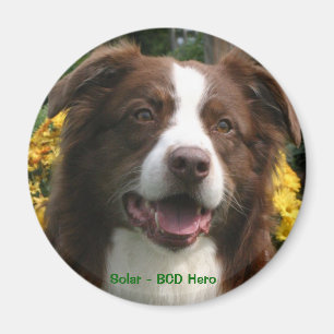 Imã Magnet Personalizável