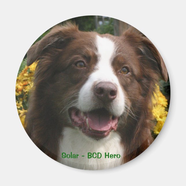 Imã Magnet Personalizável (Frente)