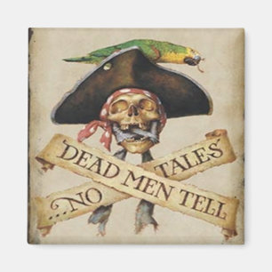 Imã Magnet Pirata do morto