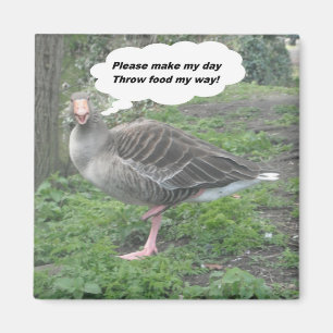 Imã Magnet Poem Duck Cote Ladee Basset