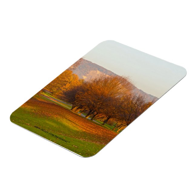 Ímã Magnet Premium do Parque Rheinaue (Left Side)