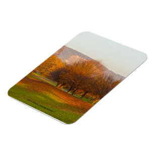 Ímã Magnet Premium do Parque Rheinaue