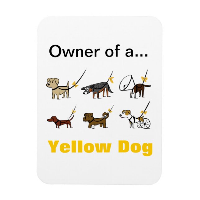 Ímã Magnet Proprietário (Vertical)