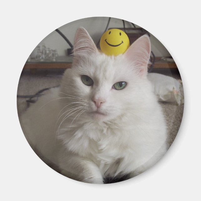 Imã Magnet "Purrl" (Frente)