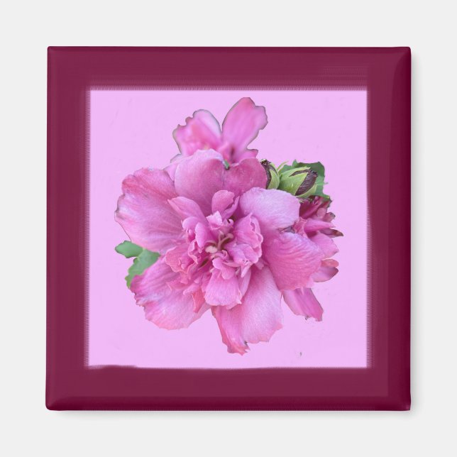 Imã Magnet Quadrado da Lucy Rosa (Frente)