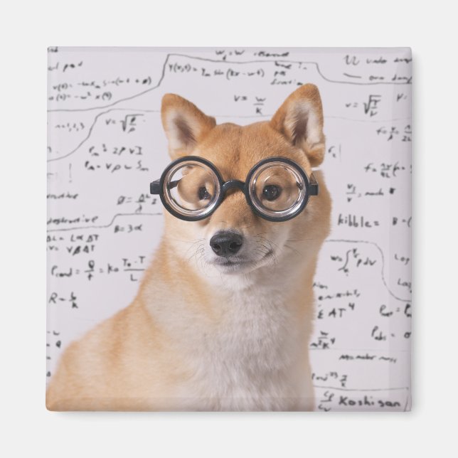 Imã Magnet Quadrado de 2 Polegadas do Professor Barkle (Frente)