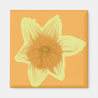Imã Magnet Quadrado Personalizável do Daffodil