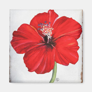 Imã Magnet Red Hibiscus