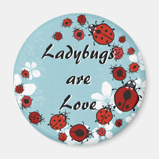 Imã Magnet Red Ladybug