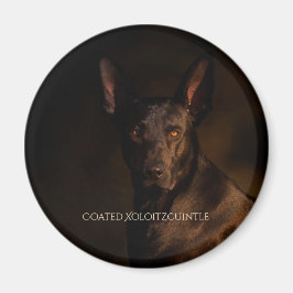 Imã Magnet revestido Xoloitzcuintle