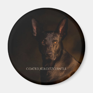 Imã Magnet revestido Xoloitzcuintle