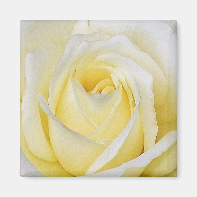 Imã Magnet Rosa Amarelo (Frente)